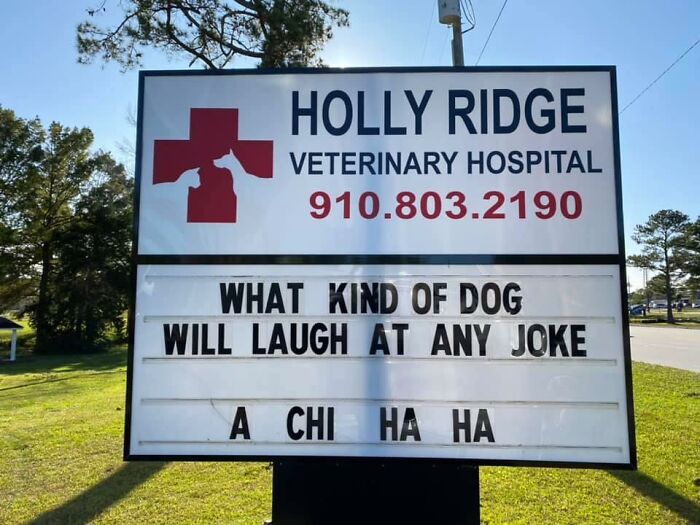 Funny-Outdoor-Signs-Holly-Ridge-Veterinary-Hospital