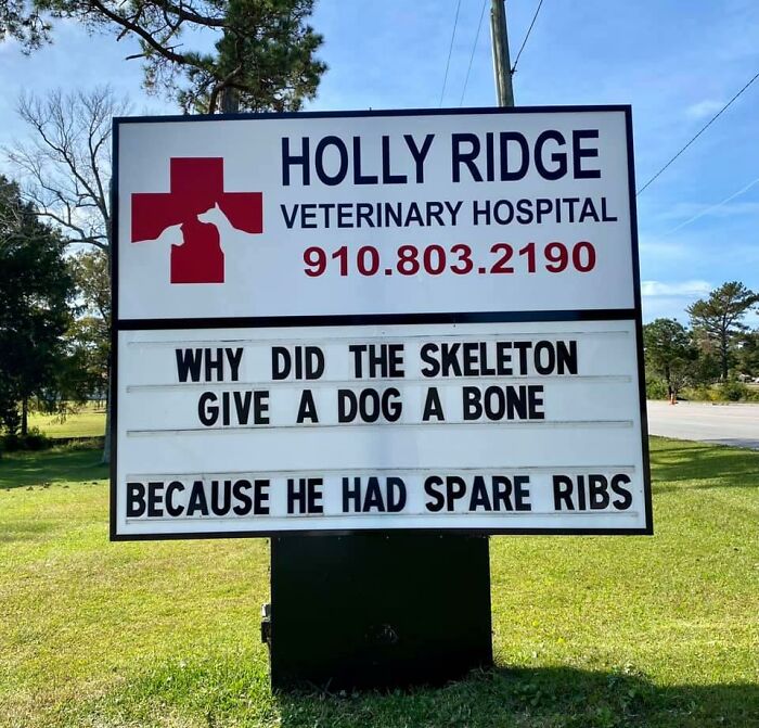 Funny-Outdoor-Signs-Holly-Ridge-Veterinary-Hospital