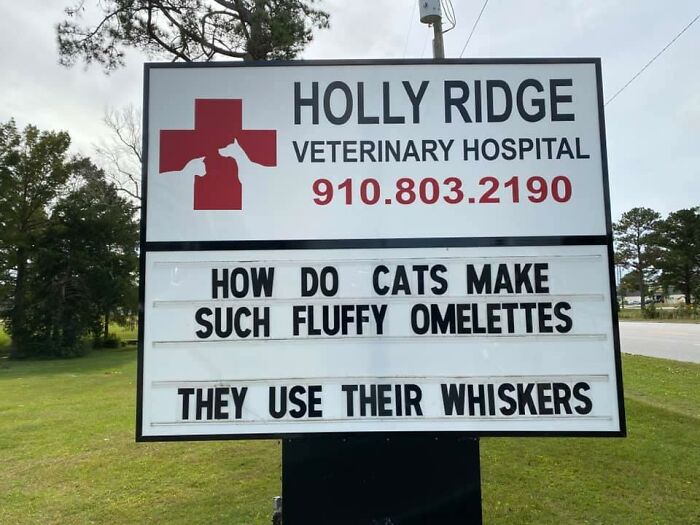Funny-Outdoor-Signs-Holly-Ridge-Veterinary-Hospital