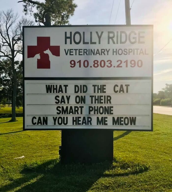 Funny-Outdoor-Signs-Holly-Ridge-Veterinary-Hospital