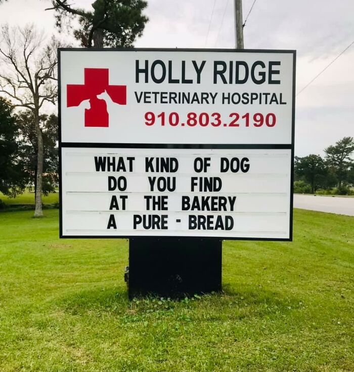 Funny-Outdoor-Signs-Holly-Ridge-Veterinary-Hospital