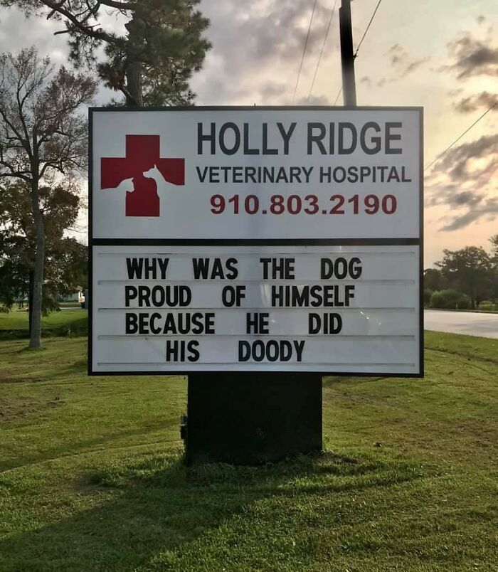 Funny-Outdoor-Signs-Holly-Ridge-Veterinary-Hospital