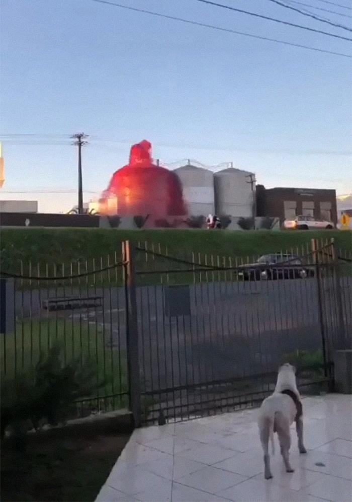 Grape Juice Overflowing. Looks Like A Volcano