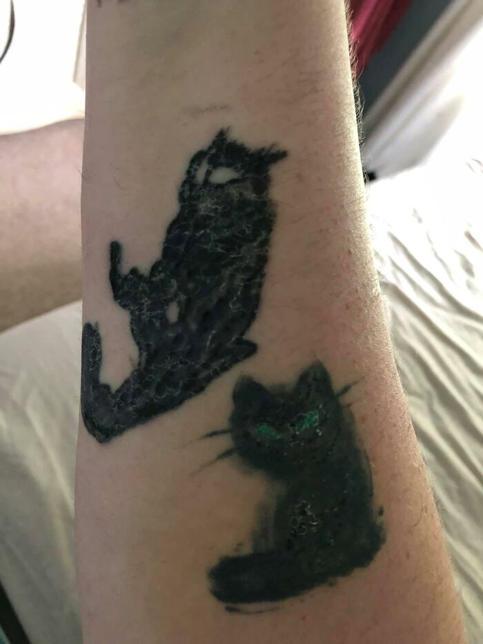 Two poorly executed cat tattoos on a person's forearm, showcasing inkshaming examples.