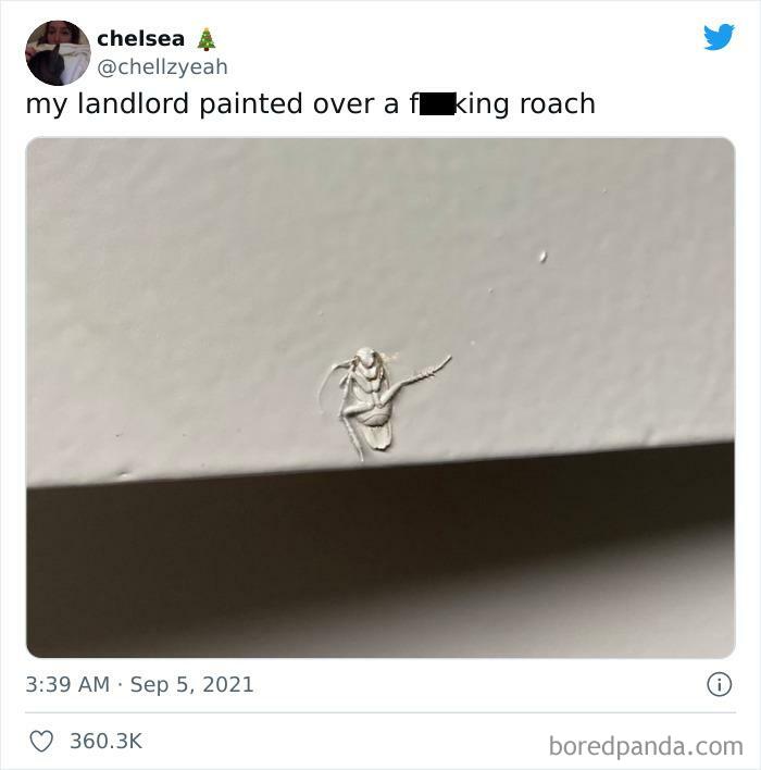 Leech Paints Over A Roach