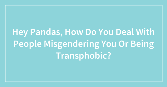Hey Pandas, How Do You Deal With People Misgendering You Or Being Transphobic? (Closed)