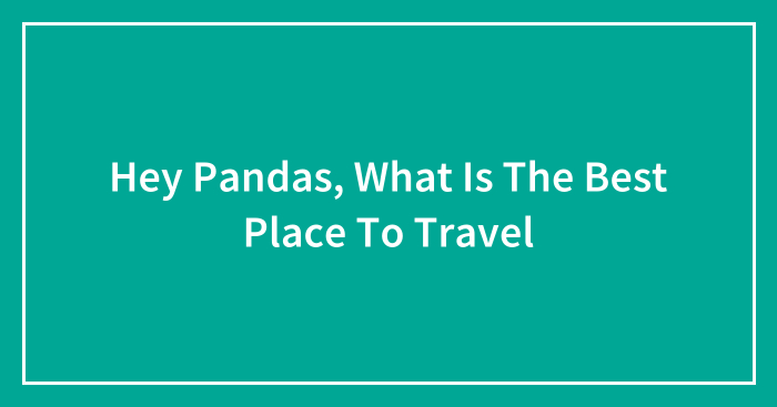 Hey Pandas, What Is The Best Place To Travel (Closed)