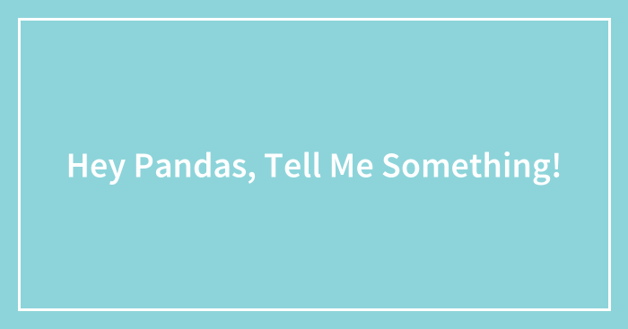 Hey Pandas, Tell Me Anything (Closed)