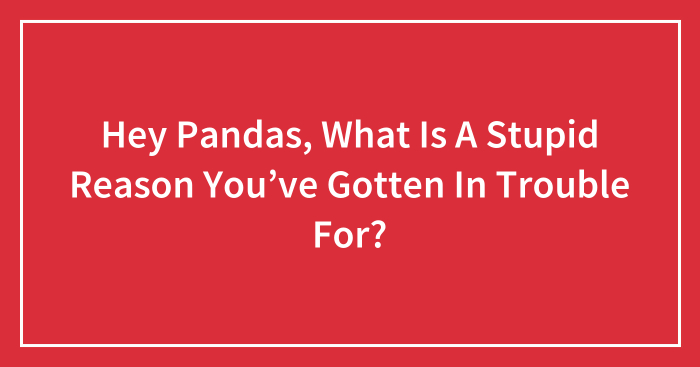 Hey Pandas, What Is A Stupid Reason You’ve Gotten In Trouble For? (Closed)