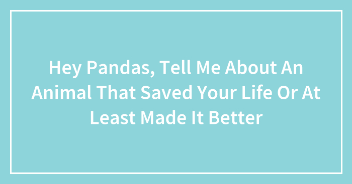 Hey Pandas, Tell Me About An Animal That Saved Your Life Or At Least Made It Better (Closed)