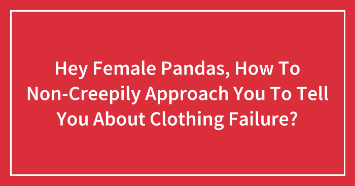 Hey Female Pandas, How To Non-Creepily Approach You To Tell You About Clothing Failure?