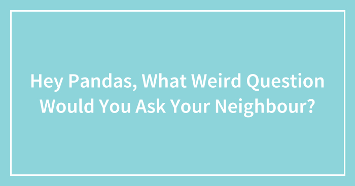 Hey Pandas, What Weird Question Would You Ask Your Neighbour? (Closed)