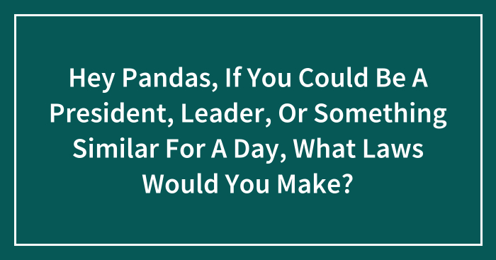 Hey Pandas, If You Could Be A President, Leader, Or Something Similar For A Day, What Laws Would You Make? (Closed)