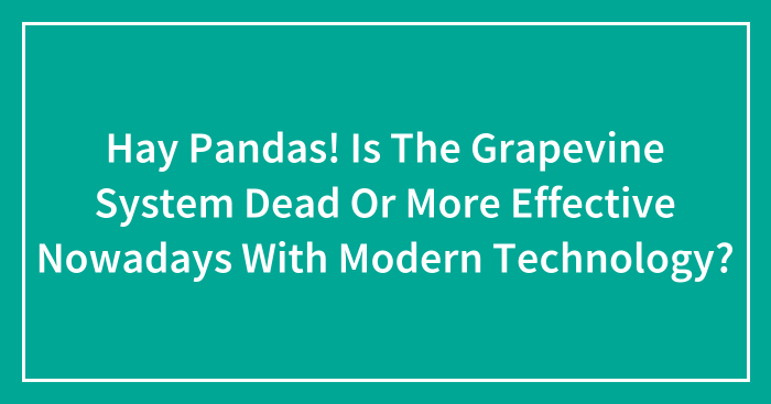 Hay Pandas! Is The Grapevine System Dead Or More Effective Nowadays With Modern Technology?