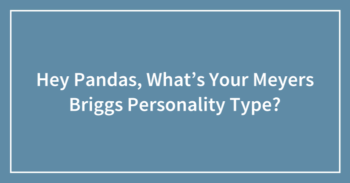 Hey Pandas, What’s Your Meyers Briggs Personality Type?