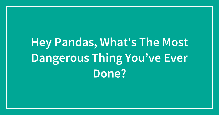Hey Pandas, What’s The Most Dangerous Thing You’ve Ever Done? (Closed)