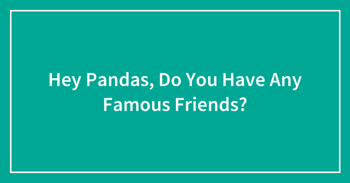 Hey Pandas, Do You Have Any Famous Friends? (Closed)