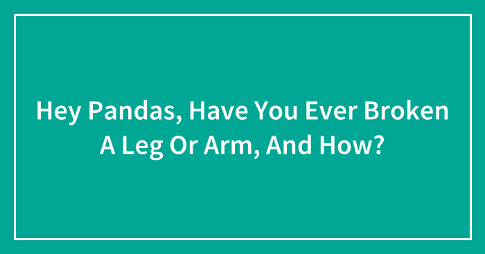 Hey Pandas, Have You Ever Broken A Leg Or Arm, And How?