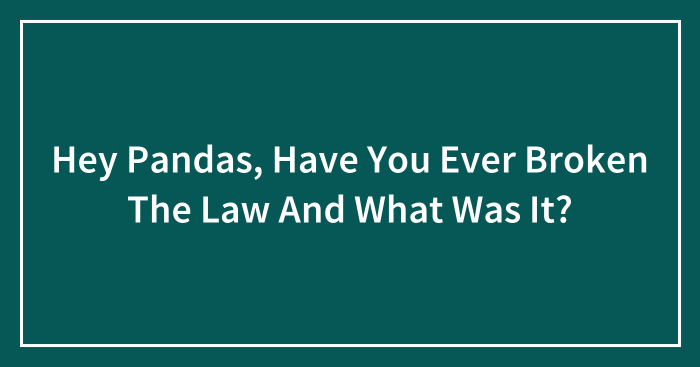 Hey Pandas, Have You Ever Broken The Law And What Was It? (Closed)