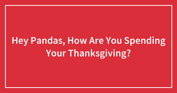 Hey Pandas, How Are You Spending Your Thanksgiving? (Closed)
