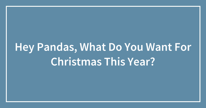 Hey Pandas, What Do You Want For Christmas This Year? (Closed)
