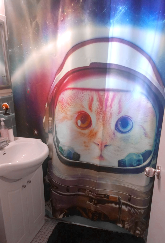 I've Lived With Boring Roommates My Whole Life And Now I Am On My Own. First Order Of Business Taken Care Of