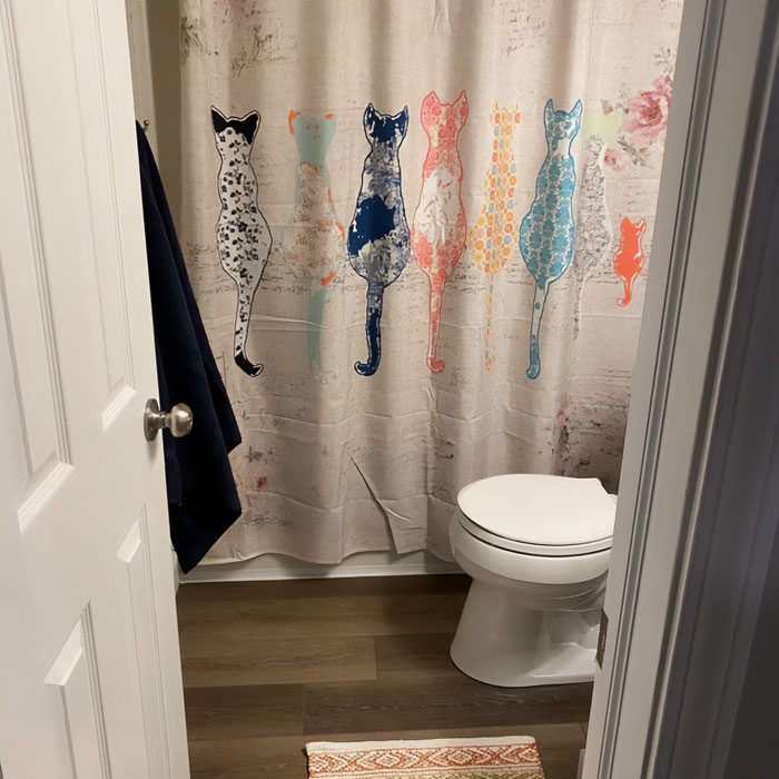 Shower Curtain