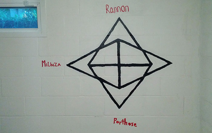 Just Moved Into A New House. What Is This Creepy Thing On My Basement Wall?