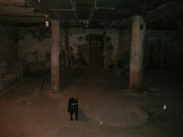 There Is A Door Bolted Closed In The Basement Of The House My Friend Is Renting