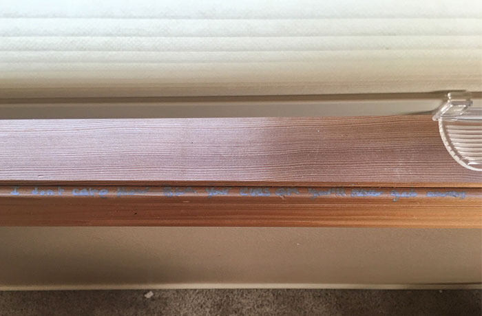 Just Moved Into Our New House In June, Found This In Our Son's Bedroom On The Windowsill