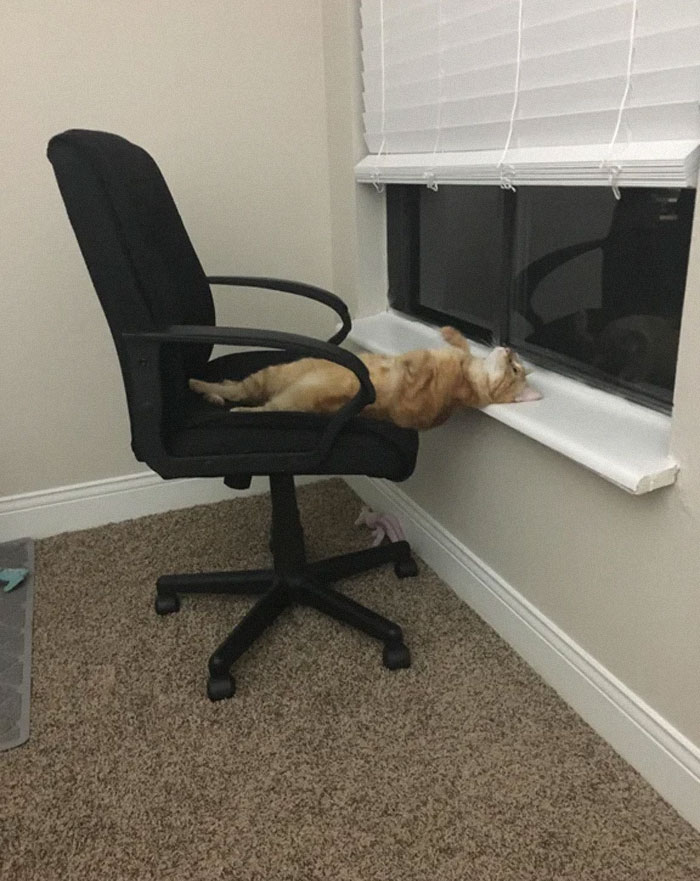 "I Want To Leave" Is Pretty Much The Weirdest Instagram Account, And Here Are 50 Pictures To Prove It (New Pics)