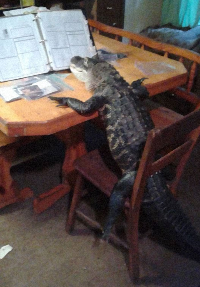 "I Want To Leave" Is Pretty Much The Weirdest Instagram Account, And Here Are 50 Pictures To Prove It (New Pics)