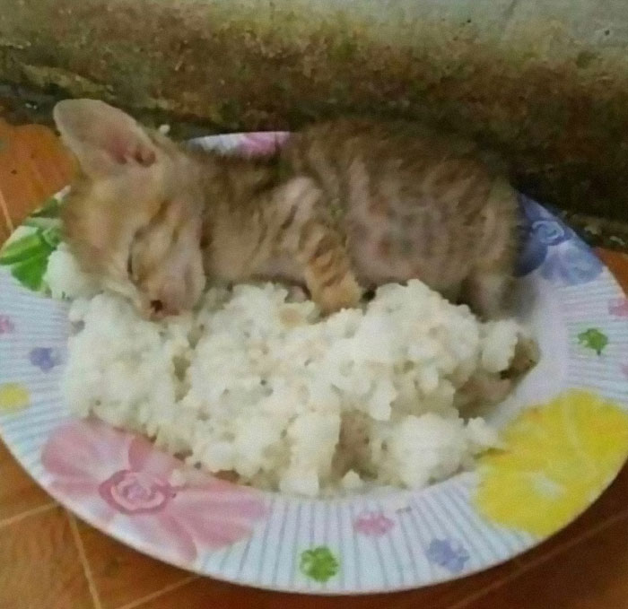 "I Want To Leave" Is Pretty Much The Weirdest Instagram Account, And Here Are 50 Pictures To Prove It (New Pics)