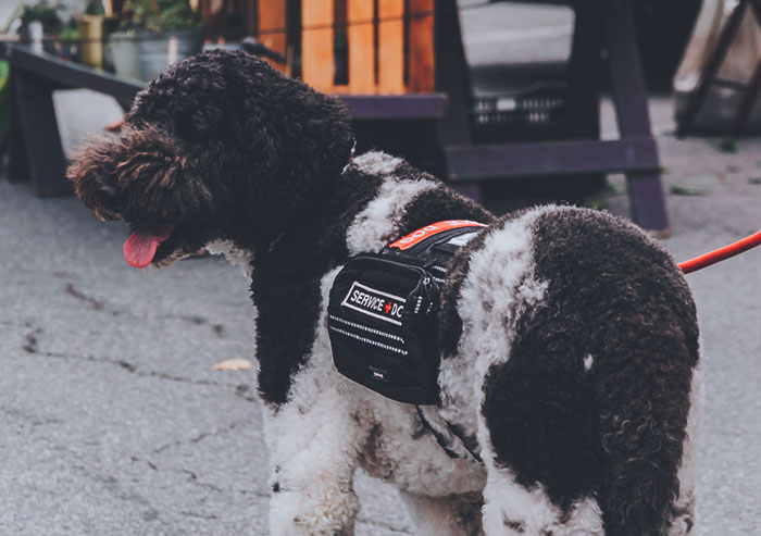 Disney Theme Park Employees Reveal Things They Love And Hate About It (30 Posts)