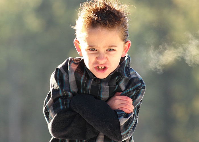 Disney Theme Park Employees Reveal Things They Love And Hate About It (30 Posts)