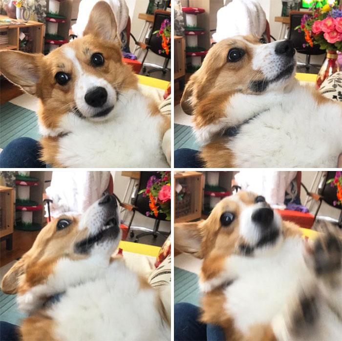 Lucy, Wanna Go Outside?