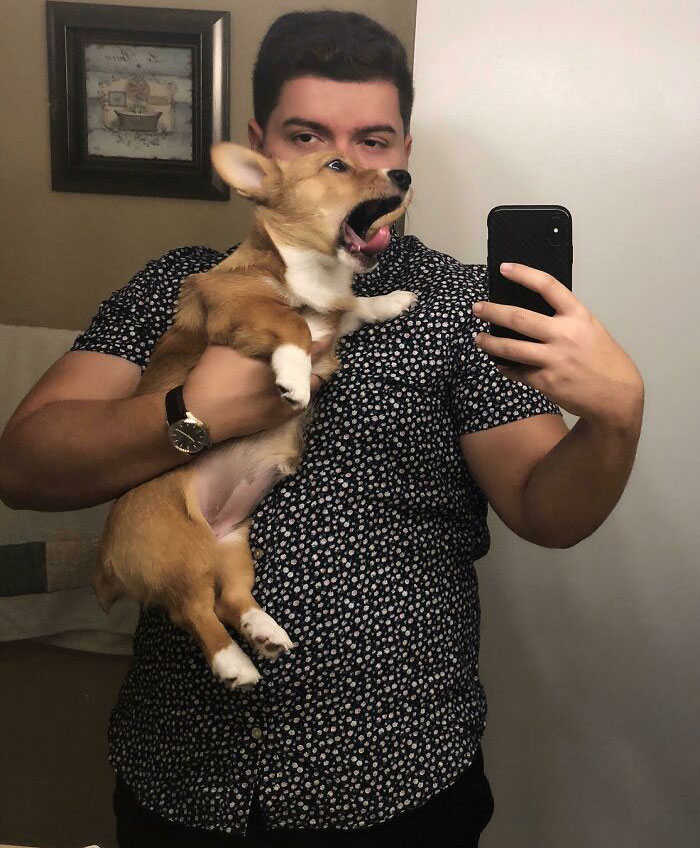 Pancake Isn't The Easiest Pup To Take Pictures With