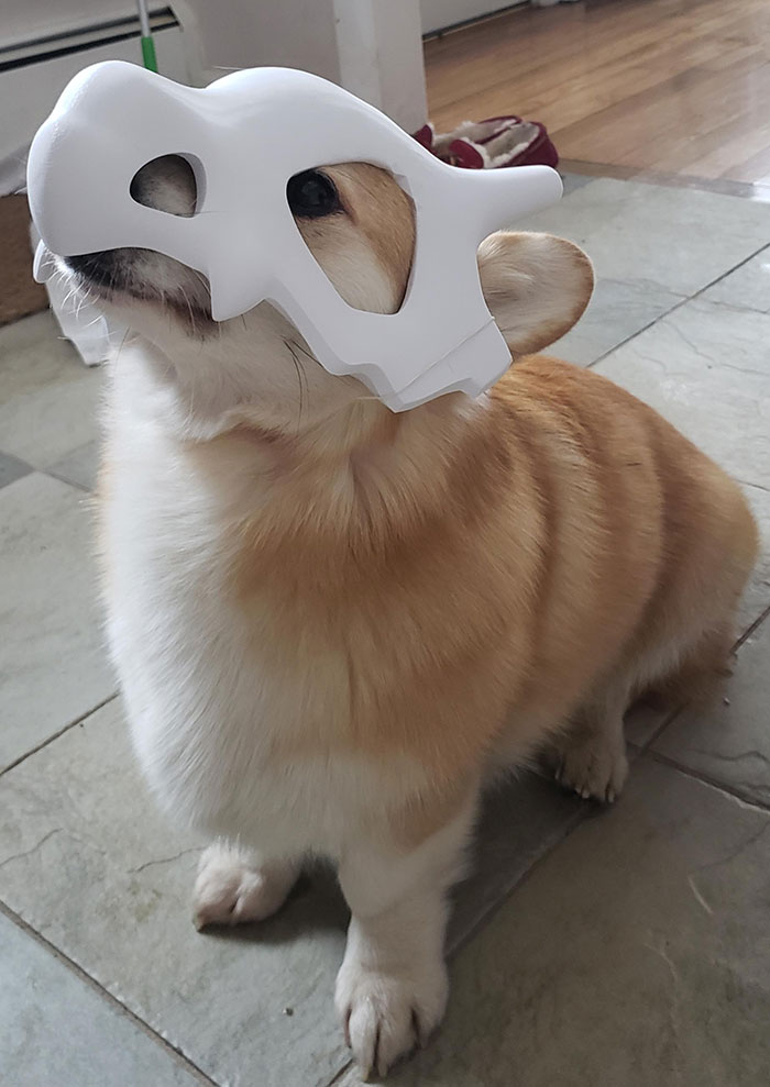 Corgi Cubone, A Corgbone If You Will