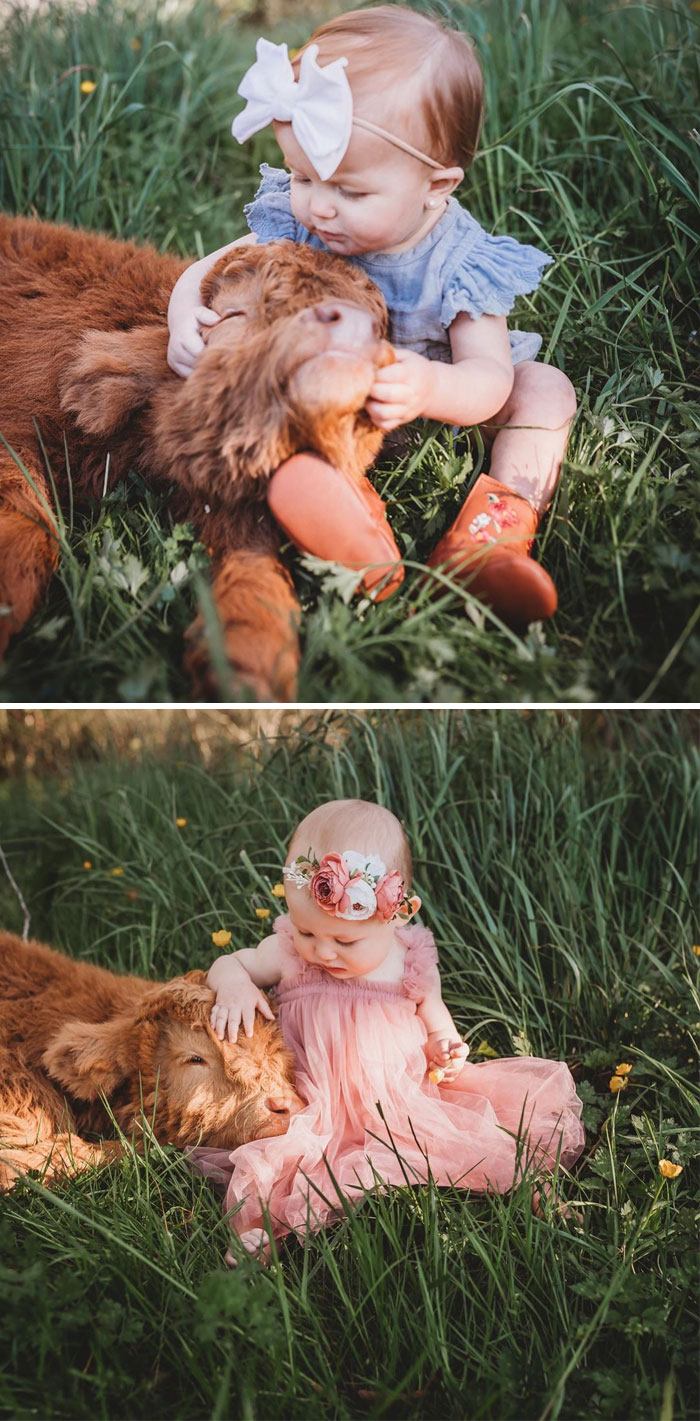 Babies in cute clothes cuddling with adorable cows on grass.