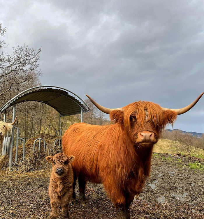 Mommy And Baby Princess