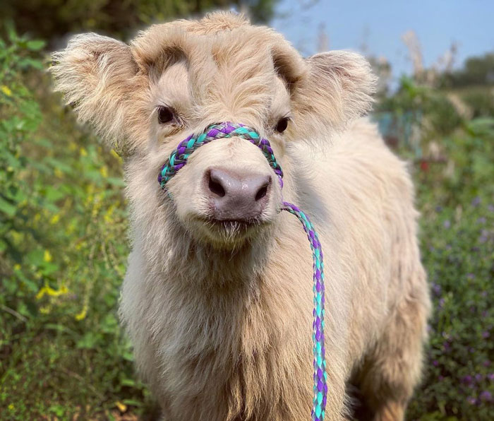 This Handsome Guy Had Some Cute Pictures Taken This Morning