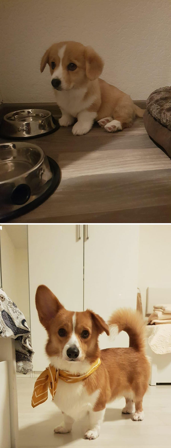 Before And After. Such A Cute Little Boy