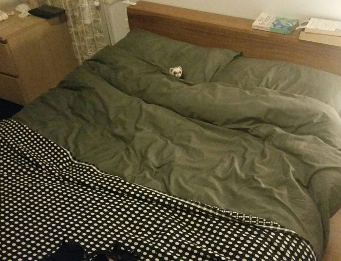  Tonta Florence, cree que es una persona