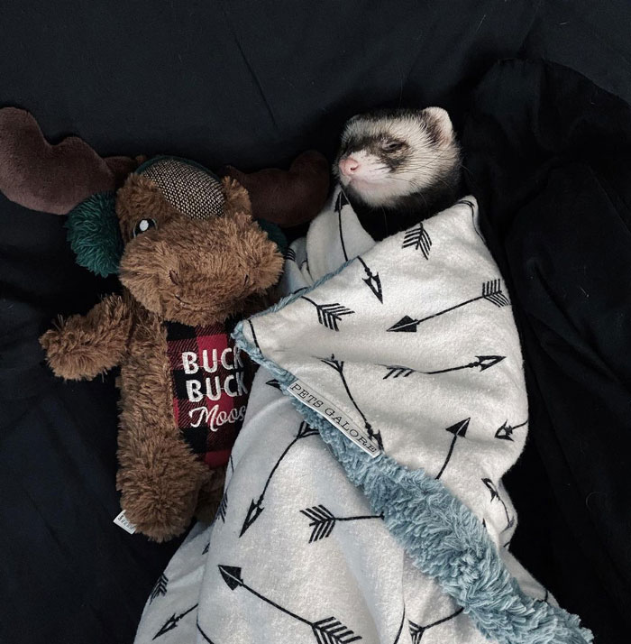 Wake Me Up When It’s Time To Open Presents