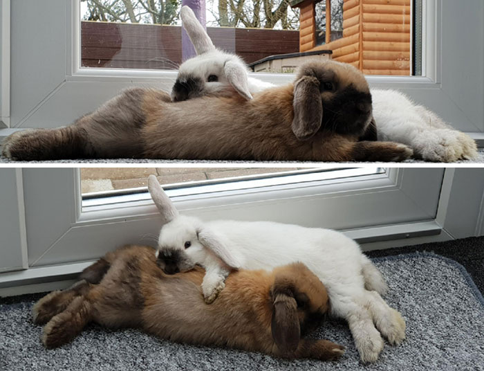 If This Isn't Love Then It Doesn't Exist