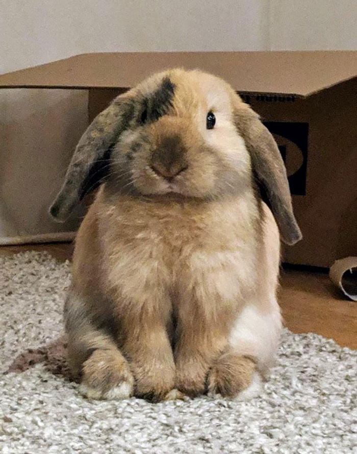 You Guys Loved Smudge So Much The Other Day So I Thought I Would Share Some More