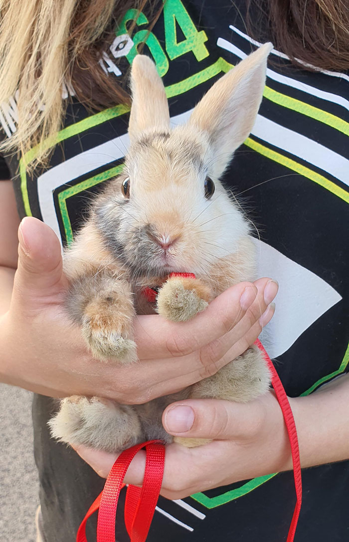 Thought You Guys Might Enjoy This Photo Of Hazel