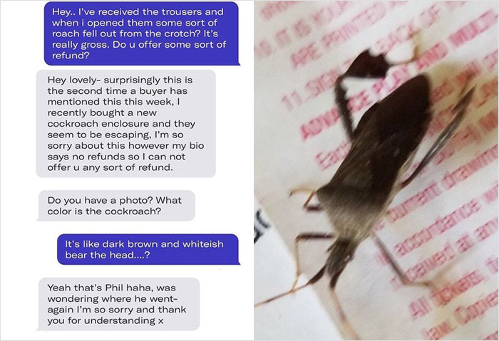 Depop-Drama-Funny-Messages