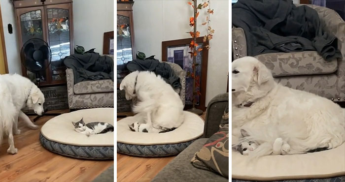 “¿No vas a hacer algo al respecto?”