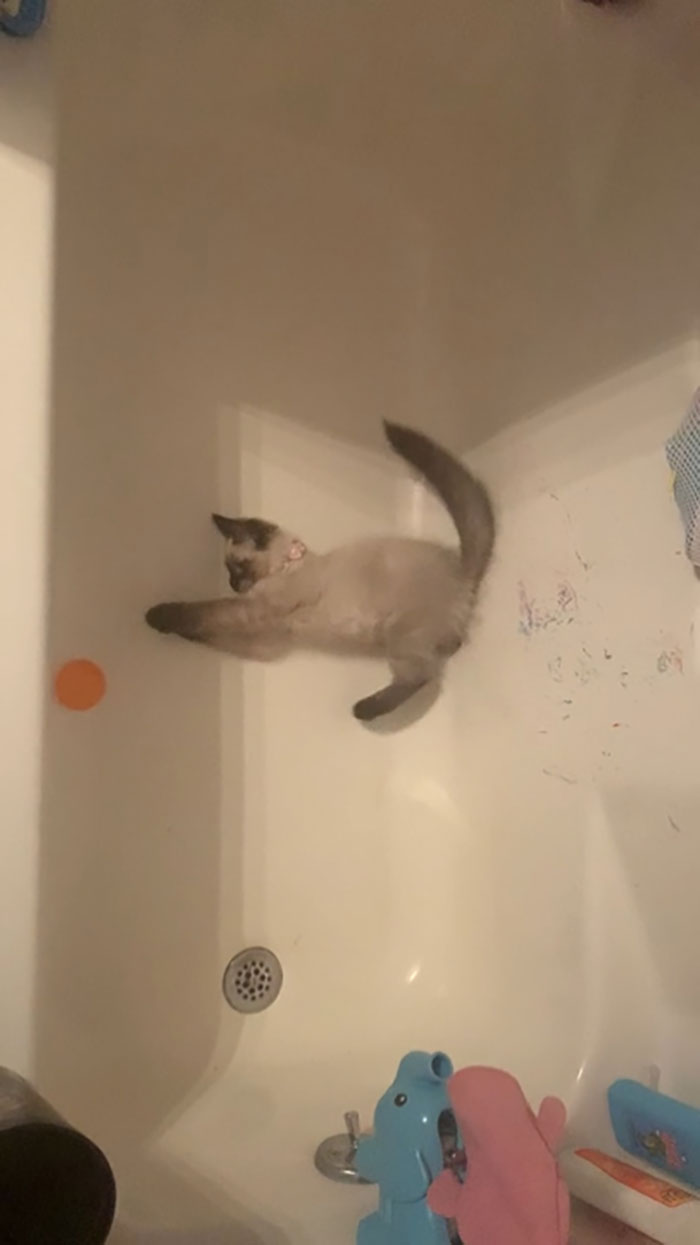 Discovered What Was Making Noise In The Kids Bathroom